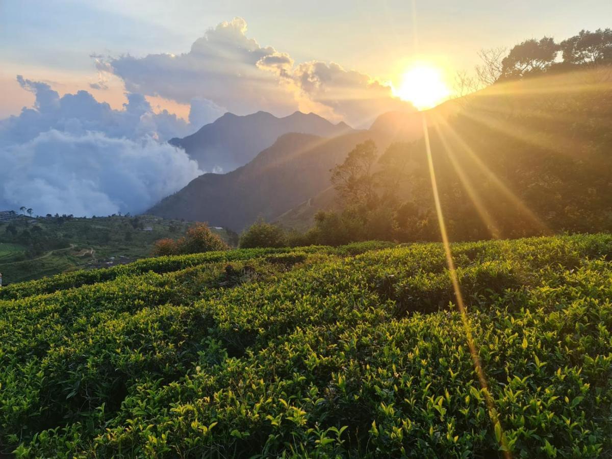 Hill Safari - Tea Estate Villa Ohiya Eksteriør bilde