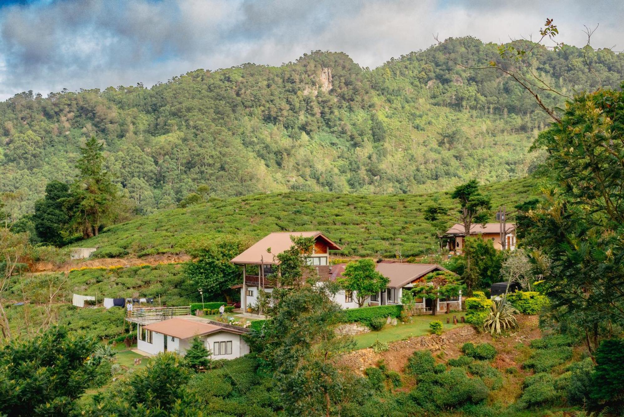 Hill Safari - Tea Estate Villa Ohiya Eksteriør bilde